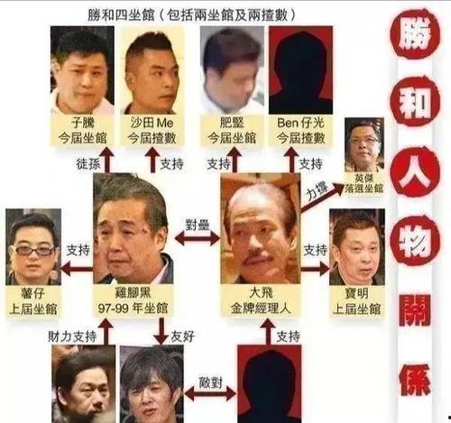 和胜和宝明最新爆料,揭秘行业内幕，独家解读行业动态